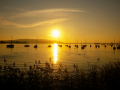 Bodensee_2021_fullhd_55