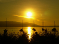 Bodensee_2021_fullhd_56