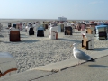 borkum15.jpg