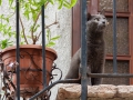 gardasee_2014_006.jpg