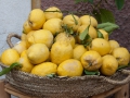 gardasee_2014_063.jpg