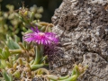 gardasee_2014_091.jpg