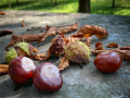Heidelberg_2021_fullhd_11