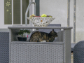 kiel_2021_fullhd_01