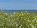 kiel_2021_fullhd_17