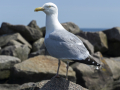 kiel_2021_fullhd_23