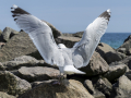 kiel_2021_fullhd_24