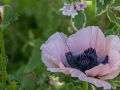 kiel_2021_fullhd_25