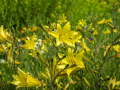 kiel_2021_fullhd_27