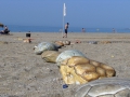 02-strand001a.jpg