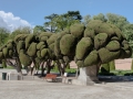 madrid_2014_012.jpg