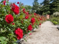 madrid_2014_021.jpg