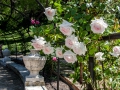 madrid_2014_025.jpg
