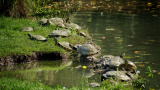mailand_2026_005