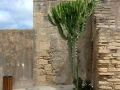 Mallorca_2015_037