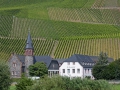 mosel04.jpg