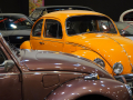 IMG_5747