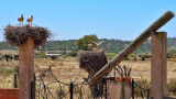 portugal_2026_018