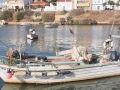ferragudo12