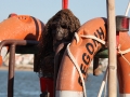 portimao04