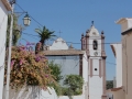 silves01