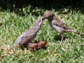 rhodos_2011_01-hotel_010.jpg