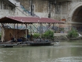 Tiber01